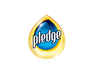 pledge