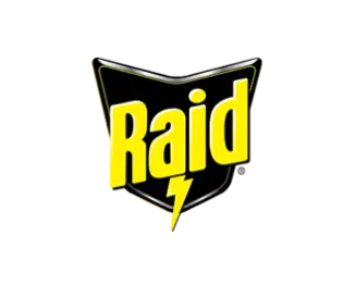 raid