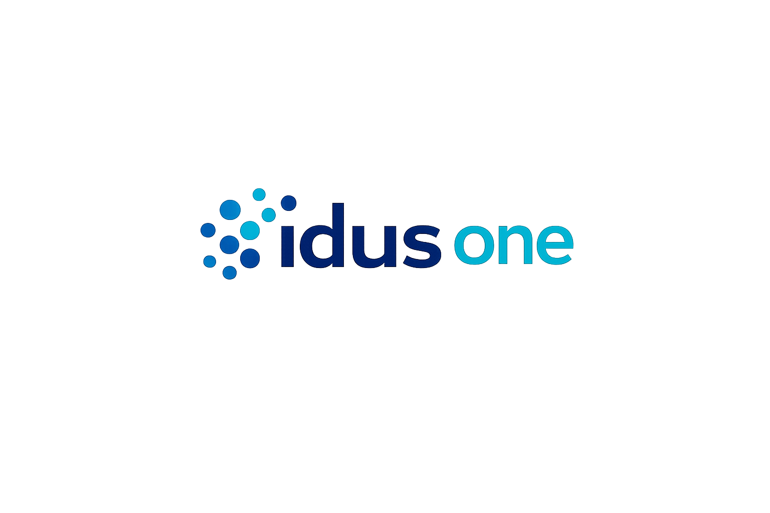 icon IdusOne big